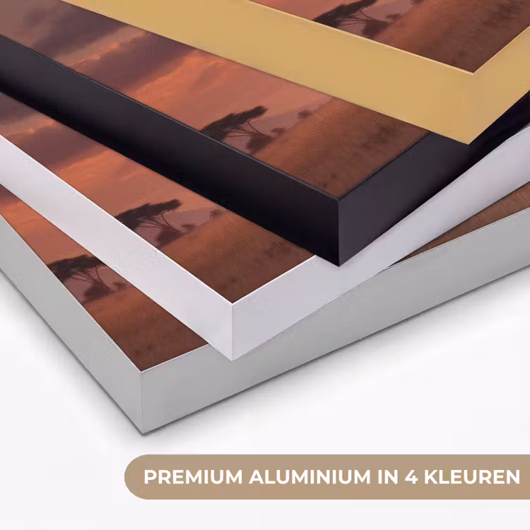 Art Frame - Olifanten - Grasland - Zonsondergang — 5