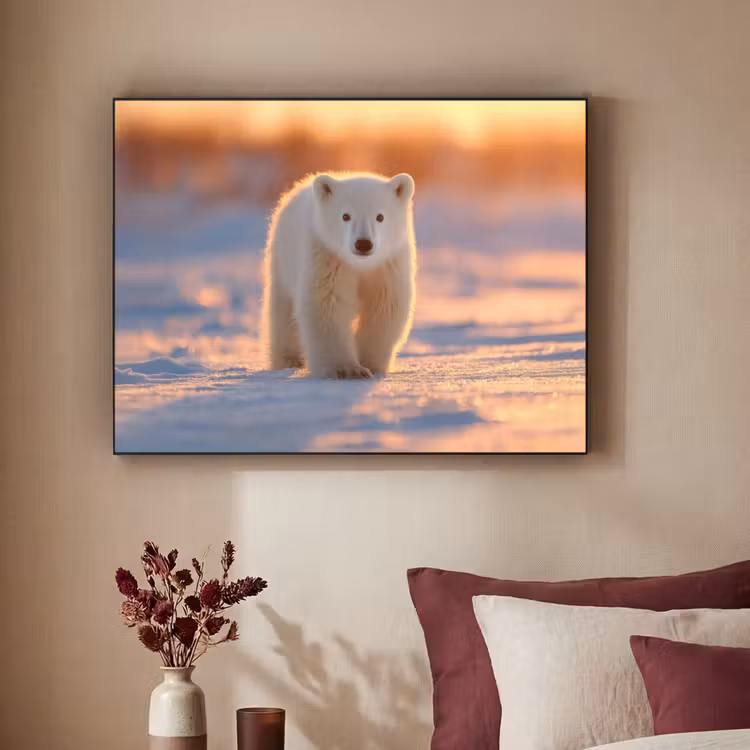 Art Frame - Ijsbeer - Sneeuw - Zonsopgang — 2