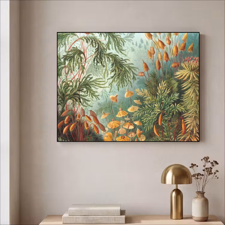 Art Frame - Oude meesters - Kunst - Muscinae - Haeckel — 3