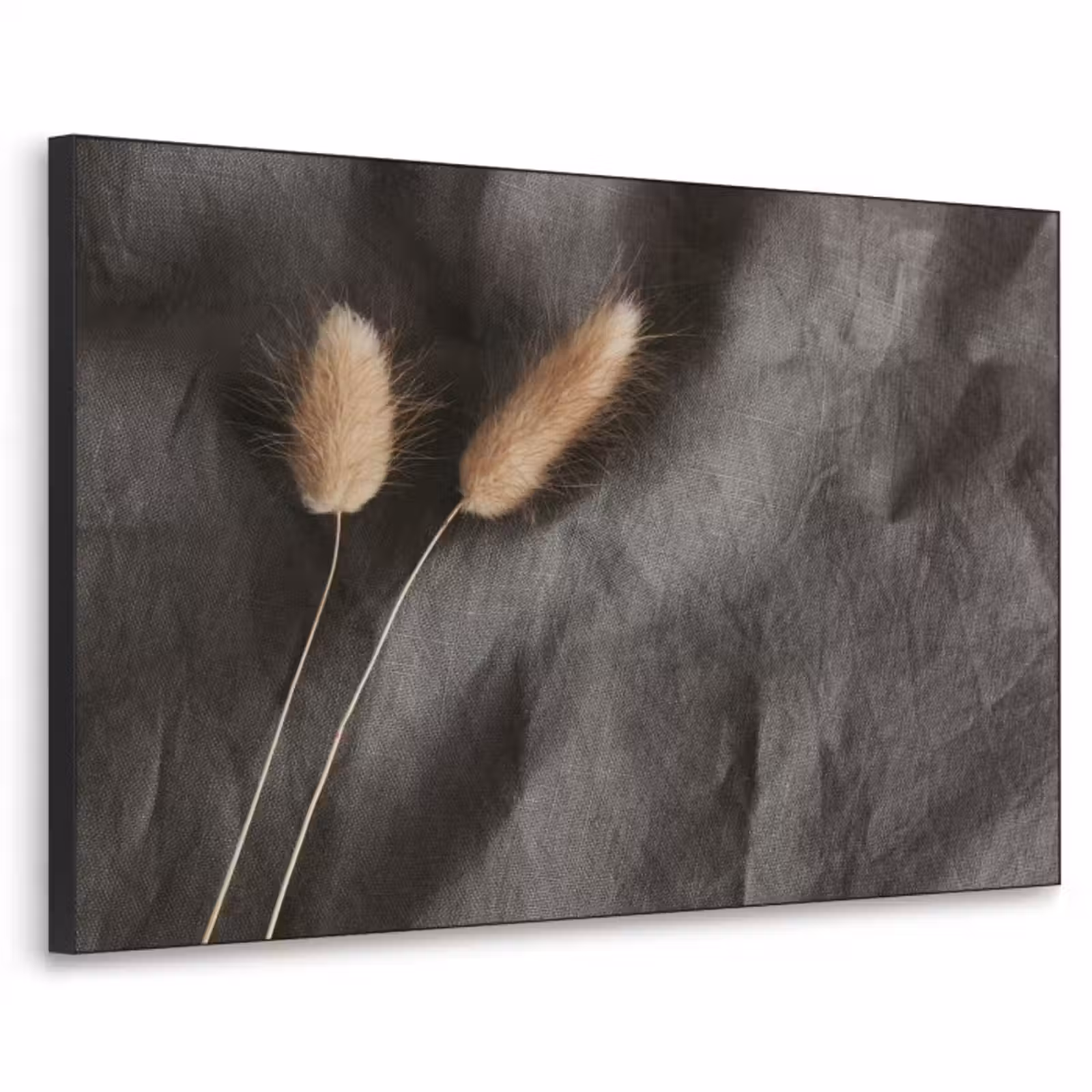 Art Frame - Pampasgras - Pluim - Zwart - Beige — 1