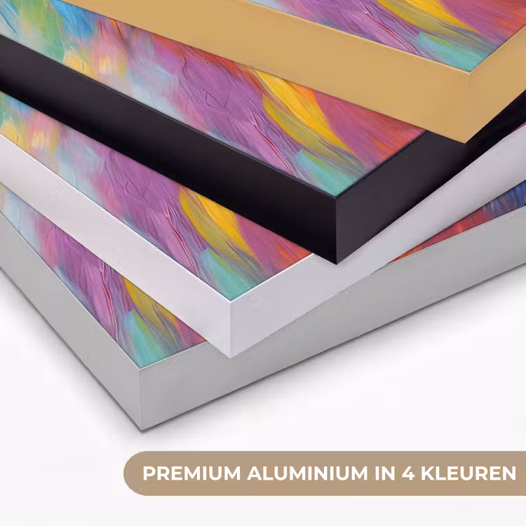 Art Frame - Leeuw - Dieren - Olieverf - Regenboog — 5