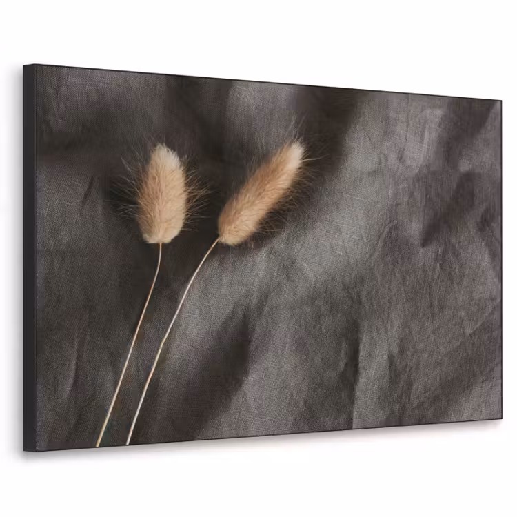 Art Frame - Pampasgras - Pluim - Zwart - Beige — 1