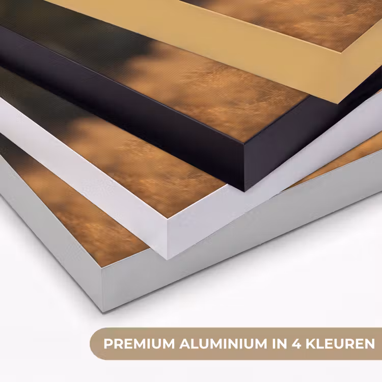 Art Frame - Paard - Bruin - Natuur - Weiland - Dier — 5