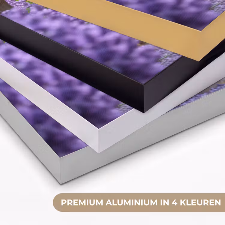 Art Frame - Bloemen - Pad - lavendel - Tuin — 5