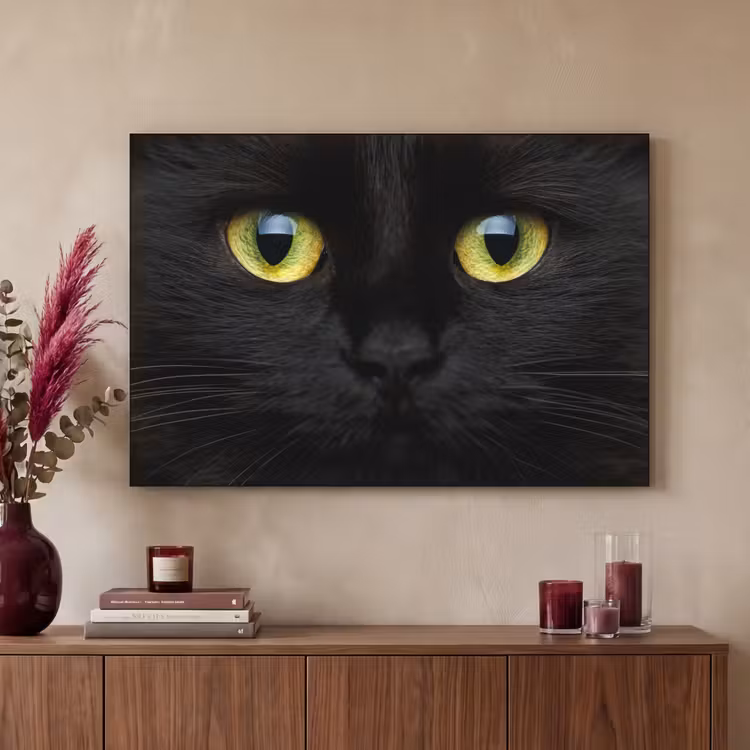Art Frame - Kat - Zwart - Dieren - Natuur — 2