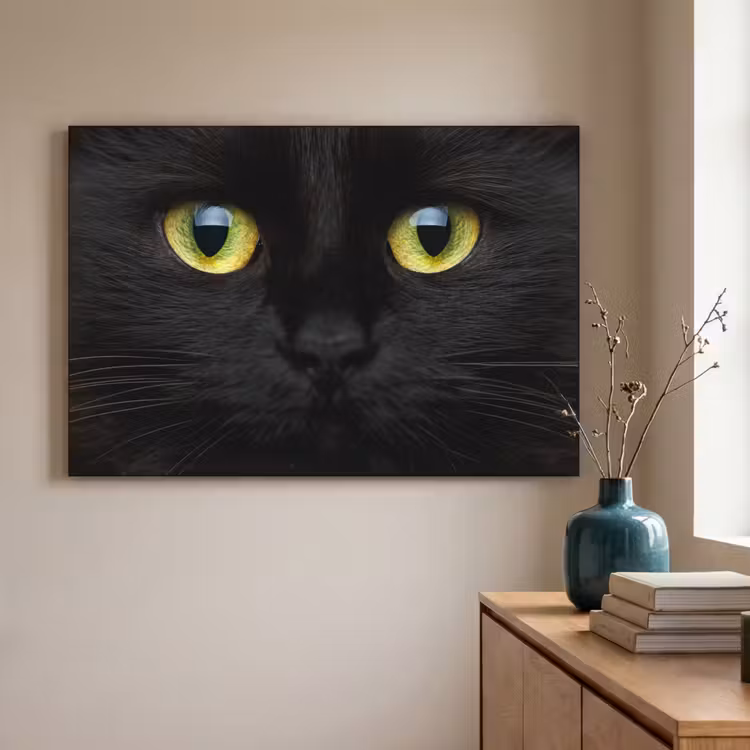 Art Frame - Kat - Zwart - Dieren - Natuur — 3