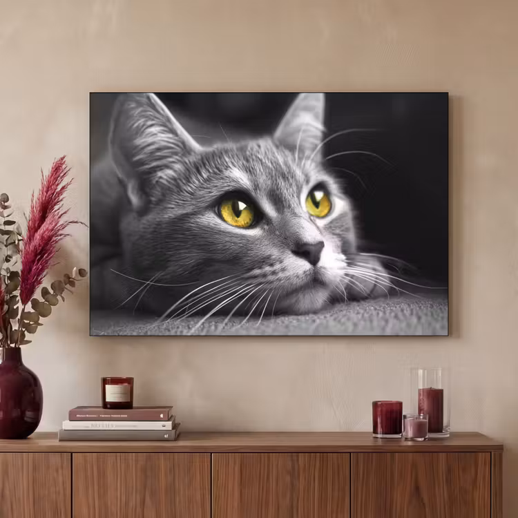 Art Frame - Kat - Zwart - Wit - Dieren - Natuur — 2