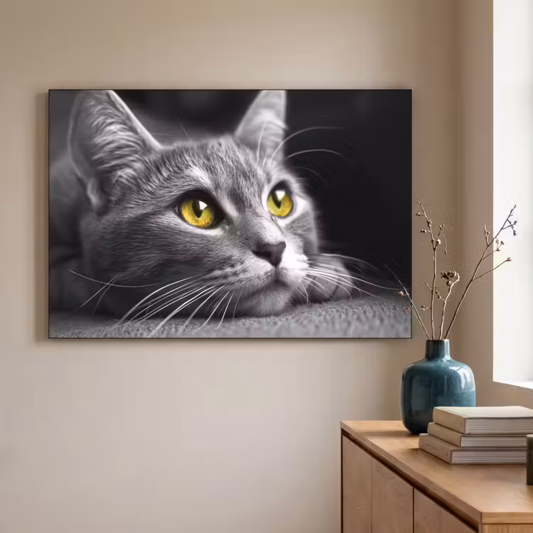 Art Frame - Kat - Zwart - Wit - Dieren - Natuur — 3
