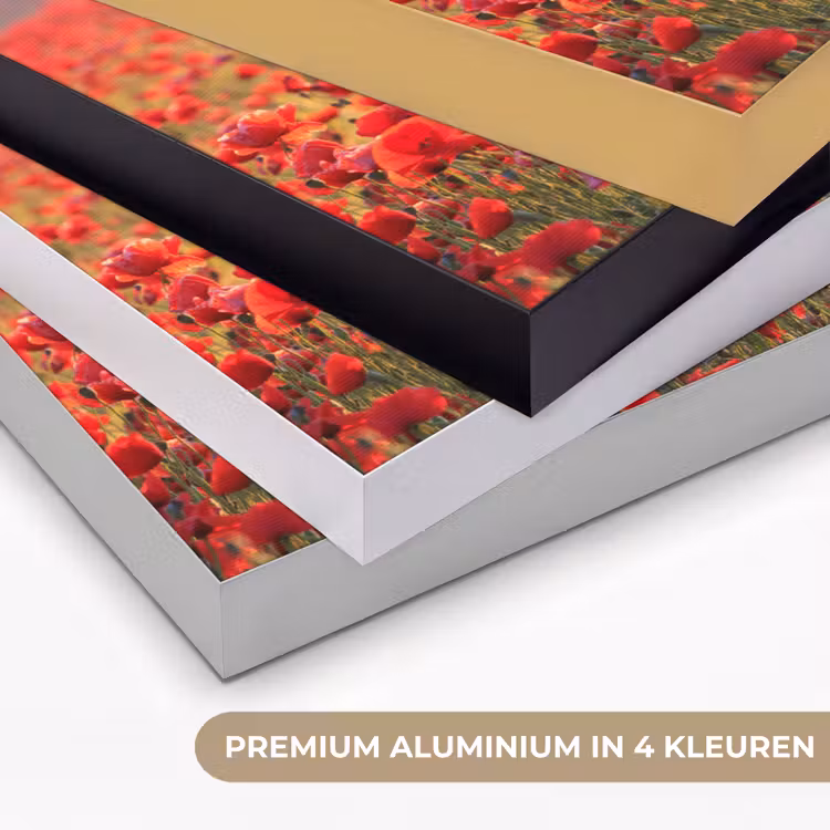 Art Frame - Bloemen - Klaprozen - Rood - Bloemenveld — 5