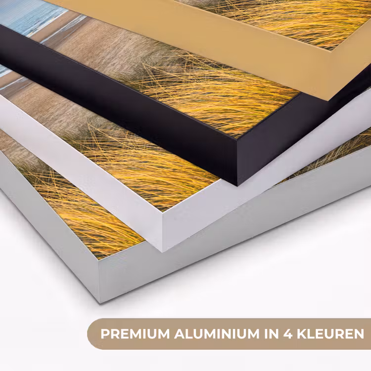 Art Frame - Gras - Duinen - Strand - Zomer — 5