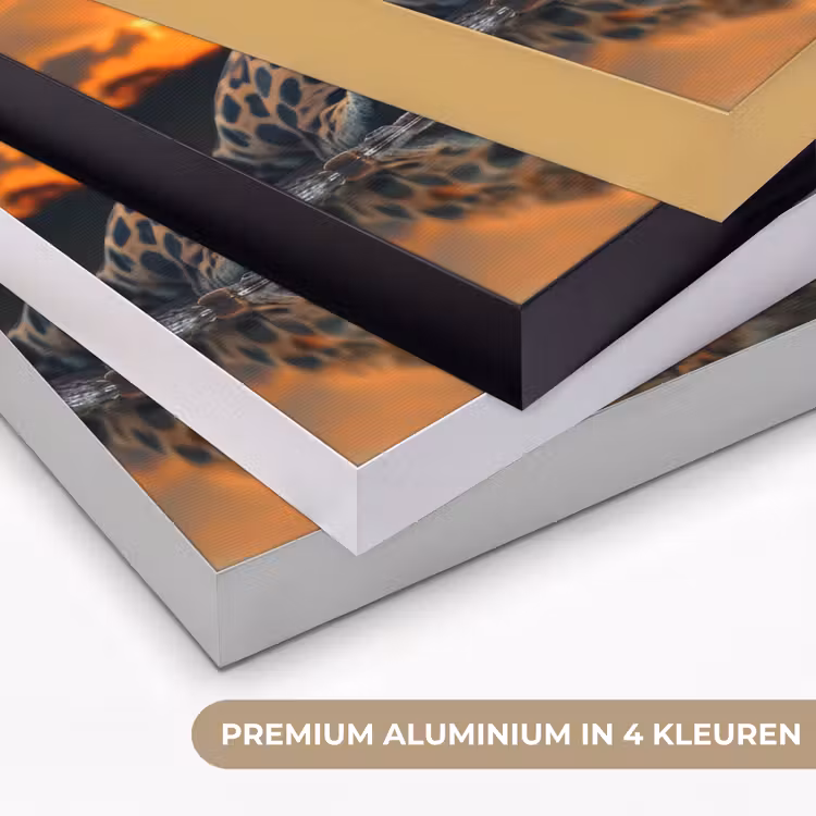 Art Frame - Natuur - Luipaard - Dier - Zonsondergang - Modern — 5