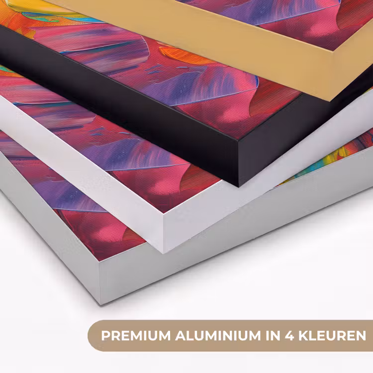 Art Frame - Bloem - Verflook - Modern - Abstract - Kleuren — 5