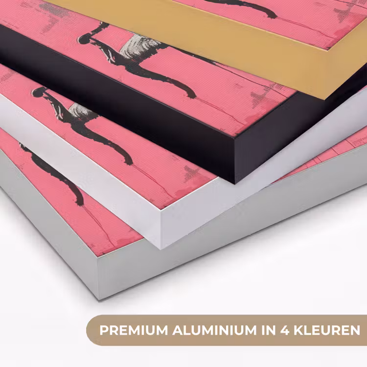 Art Frame - Graffiti - Roze - Street art - Vrouwen — 5