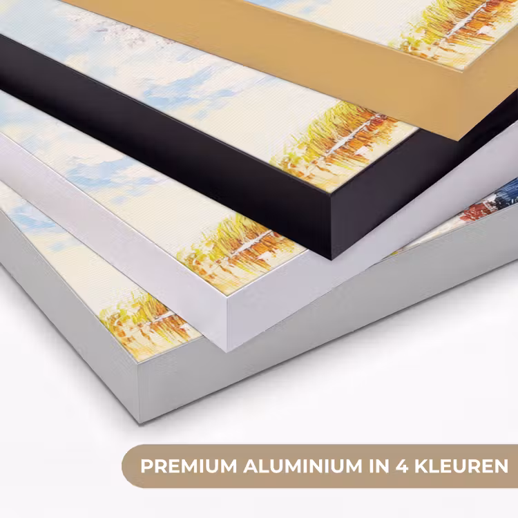 Art Frame - Boom - Kunst - Seizoenen - Lente - Herfst — 5