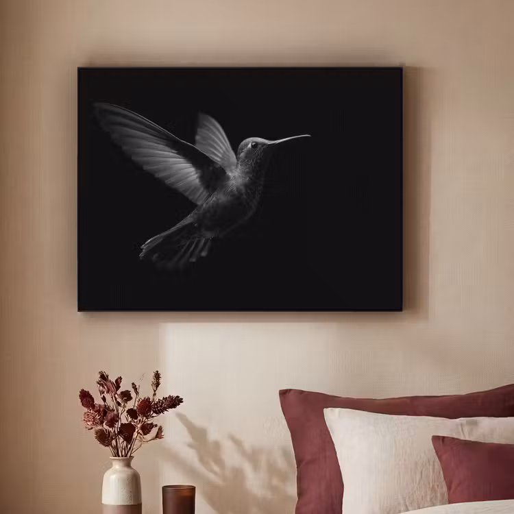 Art Frame - Kolibrie - Zwart - Dieren — 2