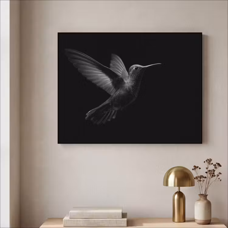 Art Frame - Kolibrie - Zwart - Dieren — 3