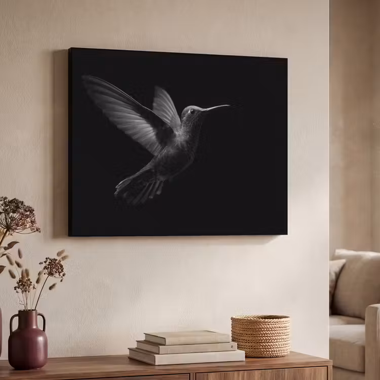 Art Frame - Kolibrie - Zwart - Dieren — 4