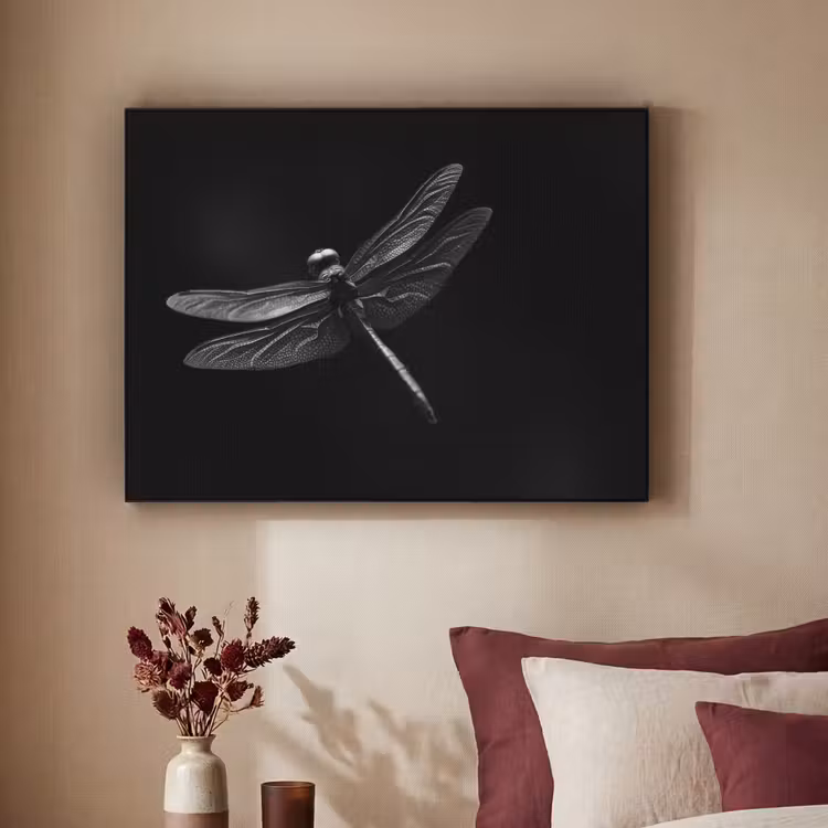 Art Frame - Libelle - Dieren - Zwart - Insect — 2