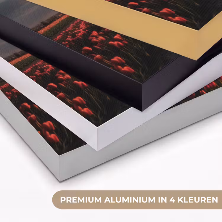 Art Frame - Molen - Zonsondergang - Tulpen - Rood — 5