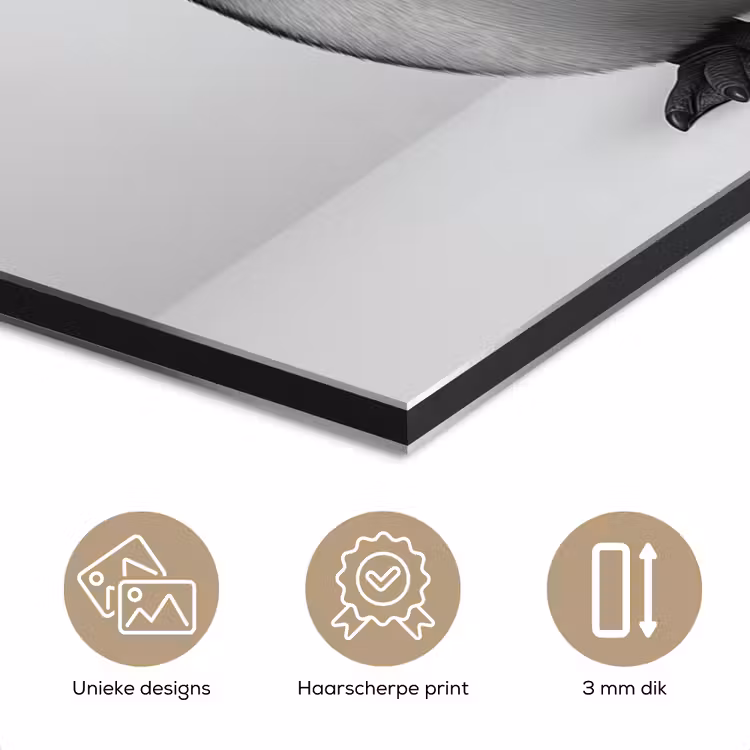 Aluminium schilderij - Pinguïn - WC rol - Wit — 7