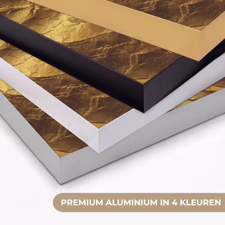 Art Frame - Bladgoud - Textuur  - Goud — 5