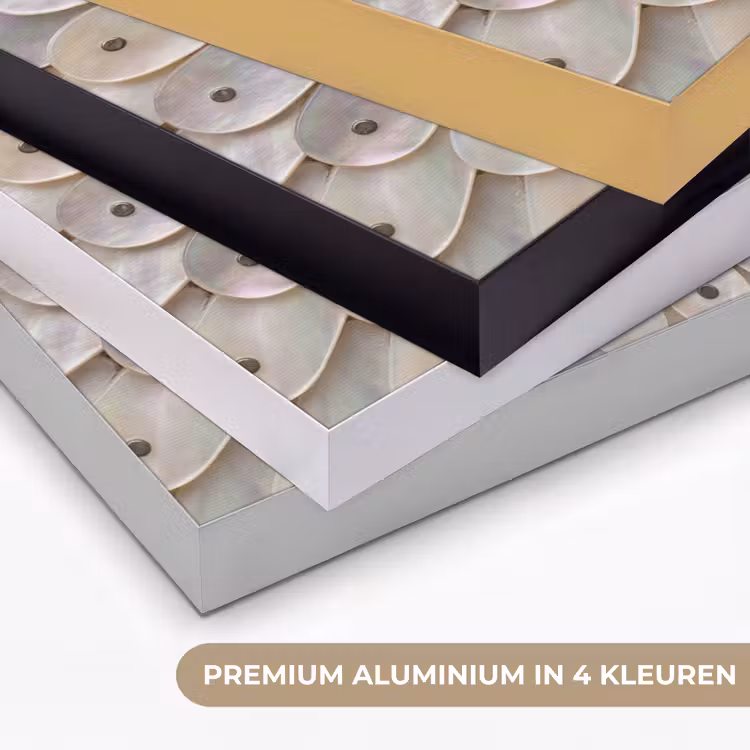Art Frame - Parelmoer - Patroon - Decoratie - Ambacht - Wit — 5