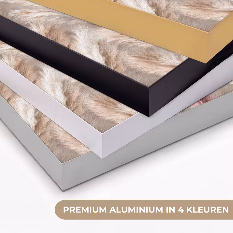 Art Frame - Pampasgras - Pluizig - Kleurrijk — 5