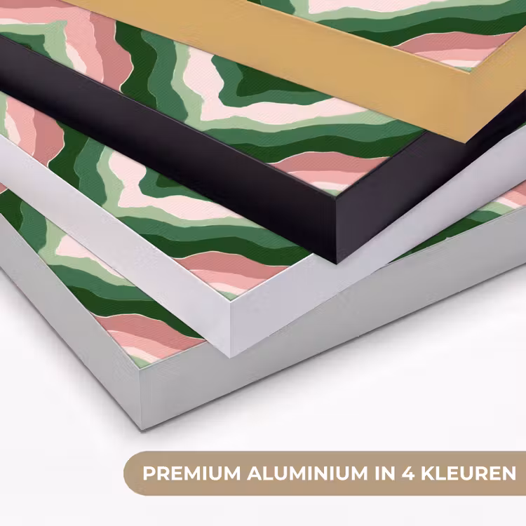 Art Frame - Ontwerp - Organisch - Kleurrijk — 5