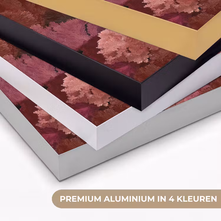 Art Frame - Koraal - Textuur - Kleurrijk — 5