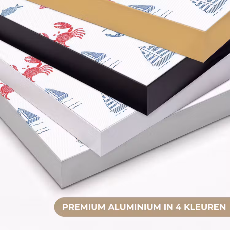 Art Frame - Nautisch - Illustraties - Kleurrijk — 5