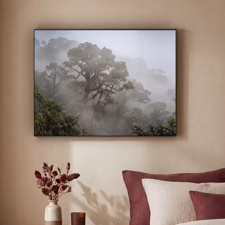 Art Frame - Boom - Mistig - Bos - Groen - Natuur — 2