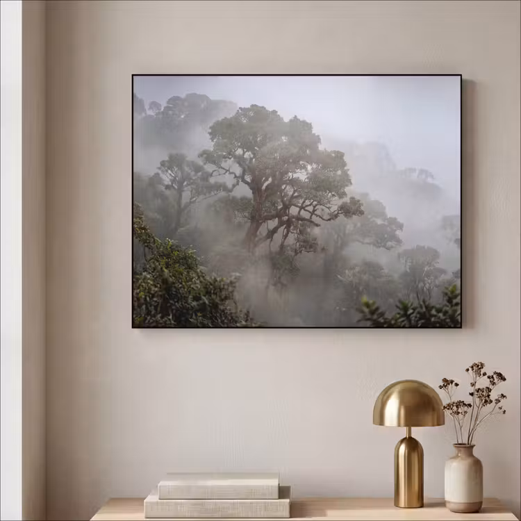 Art Frame - Boom - Mistig - Bos - Groen - Natuur — 3