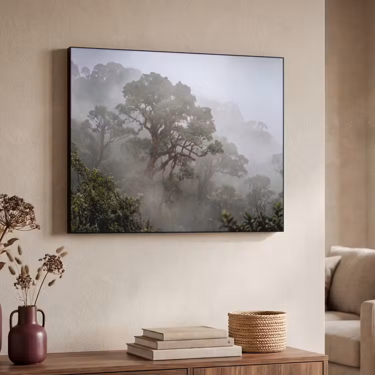 Art Frame - Boom - Mistig - Bos - Groen - Natuur — 4