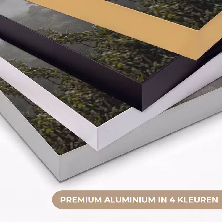 Art Frame - Boom - Mistig - Bos - Groen - Natuur — 5