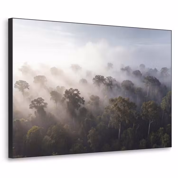 Art Frame - Bos - Mist - Natuur - Groen — 1