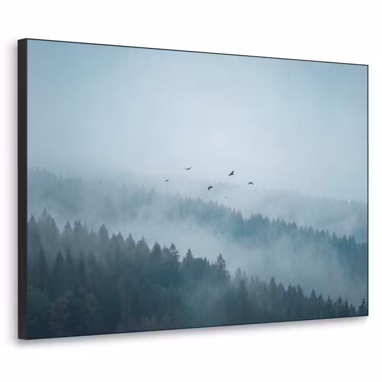 Art Frame - Bos - Mist - Vogels - Natuur - Groen — 1