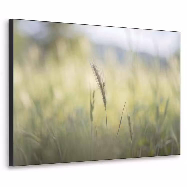 Art Frame - Graan - Aar - Natuur - Groen - Detail — 1