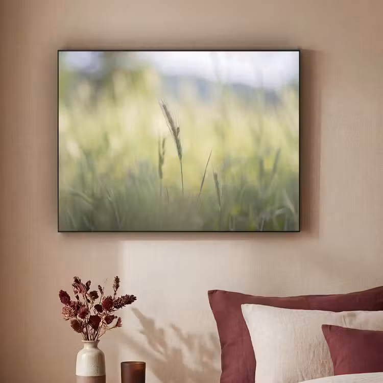 Art Frame - Graan - Aar - Natuur - Groen - Detail — 2