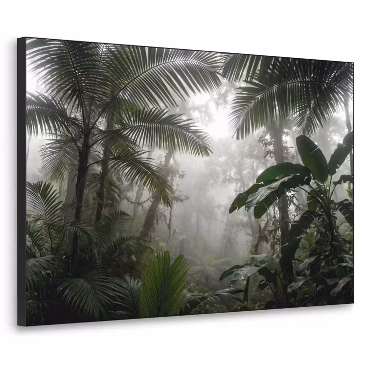 Art Frame - Natuur - Jungle - Mist - Groen - Bladeren — 1