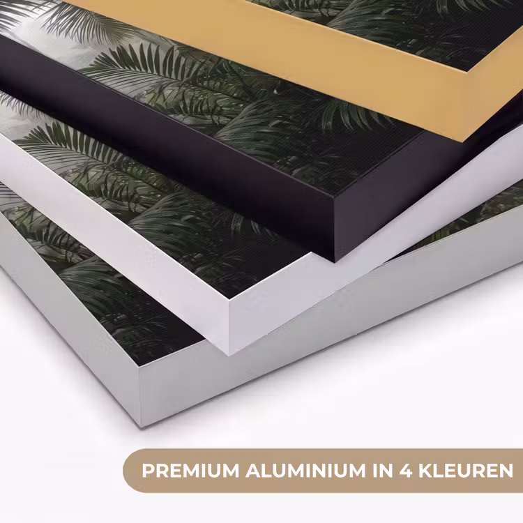 Art Frame - Natuur - Jungle - Mist - Groen - Bladeren — 5