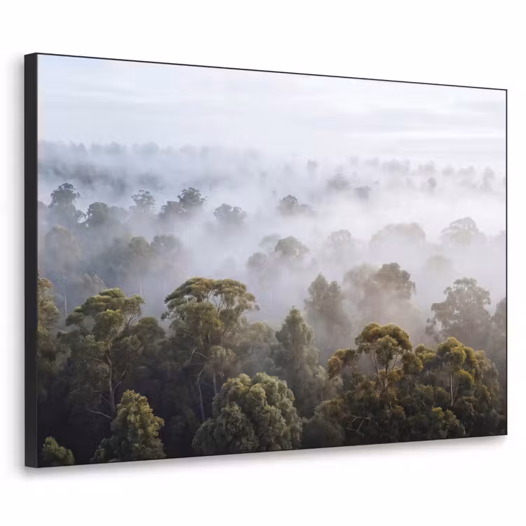 Art Frame - Natuur - Mist - Bos - Ochtend - Goud — 1