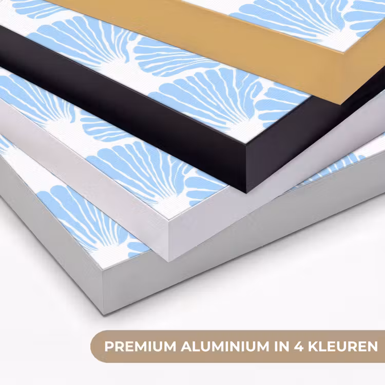Art Frame - Blauw - Wit - Schelpen - Grafisch - Structuur — 5