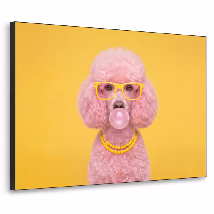 Art Frame - Hond - Kauwgum - Dieren - Modern - Roze — 1