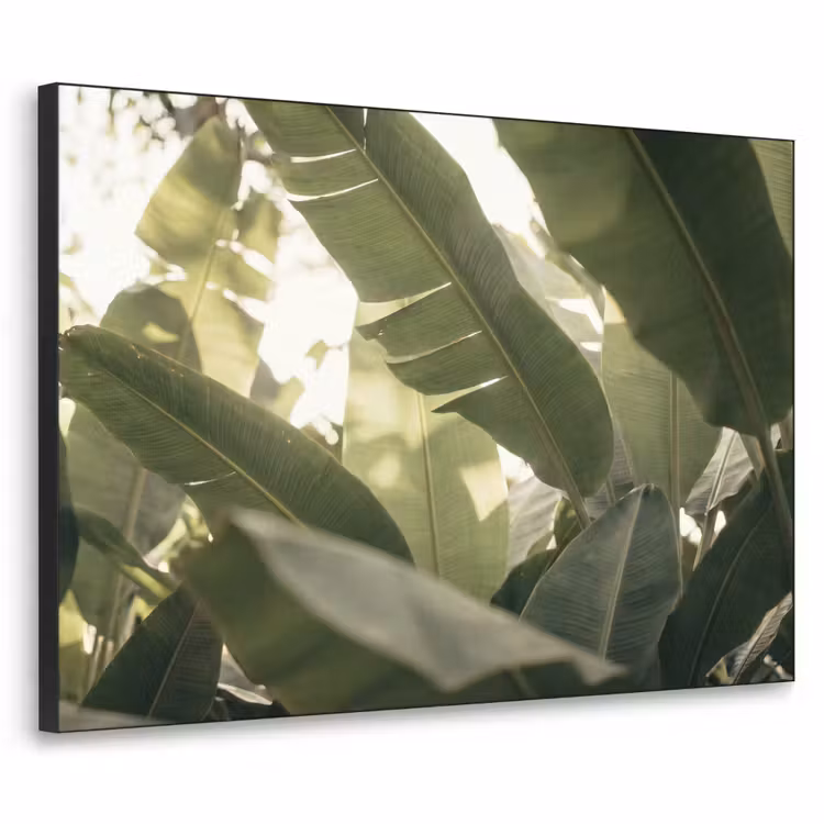 Art Frame - Natuur - Bladeren - Groen - Tropisch - Detail — 1