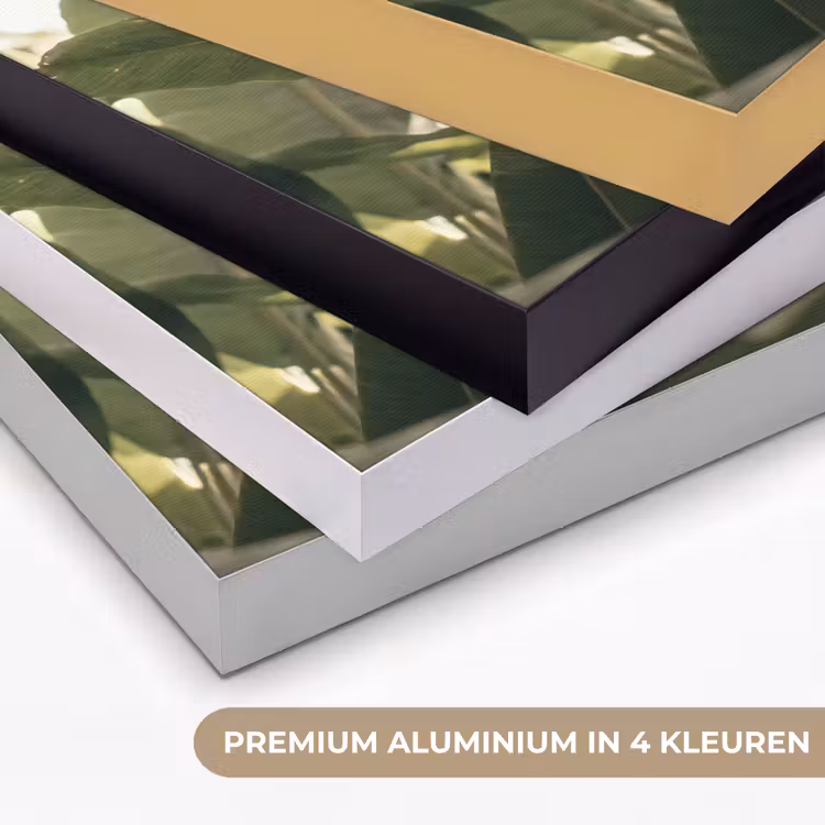 Art Frame - Natuur - Bladeren - Groen - Tropisch - Detail — 5