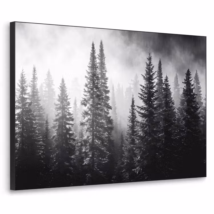 Art Frame - Bos - Mist - Winter - Monochroom - Natuur — 1