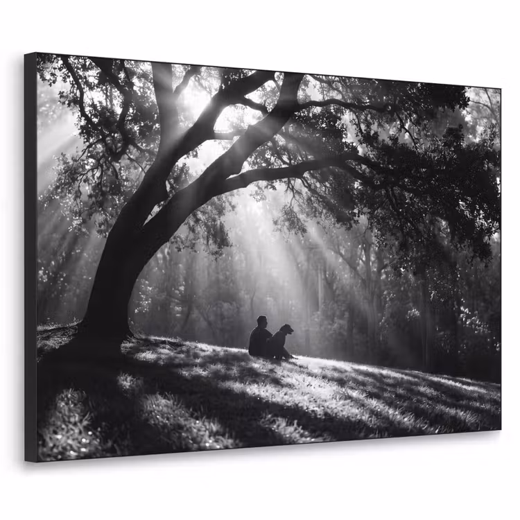 Art Frame - Mens - Hond - Natuur - Zwart-wit - Silhouet — 1