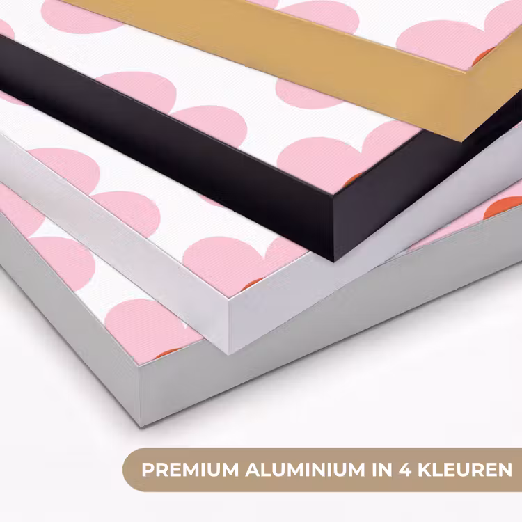 Art Frame - Bloemen - Patroon - Modern - Roze - Wit — 5