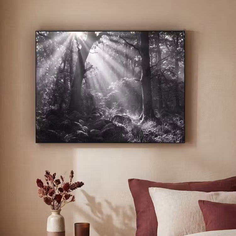 Art Frame - Bos - Lichtstralen - Natuur - Zwart-wit — 2