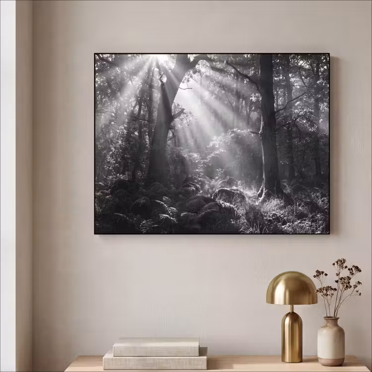 Art Frame - Bos - Lichtstralen - Natuur - Zwart-wit — 3